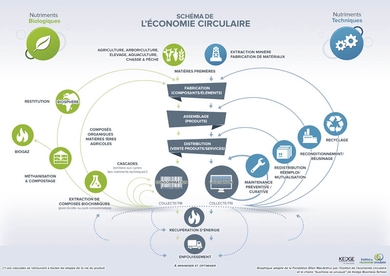 schema_economiecirculaire_hd