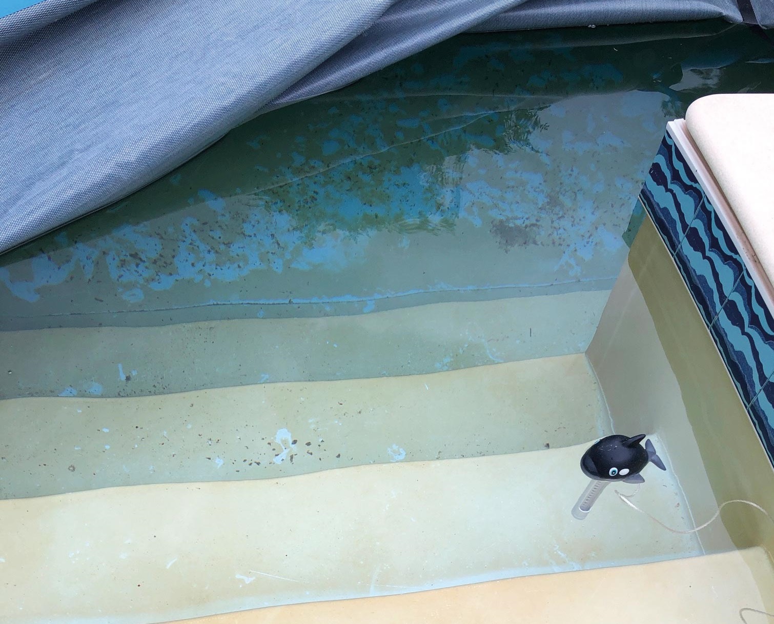 taches-marrons-calcaire - Activité Piscine