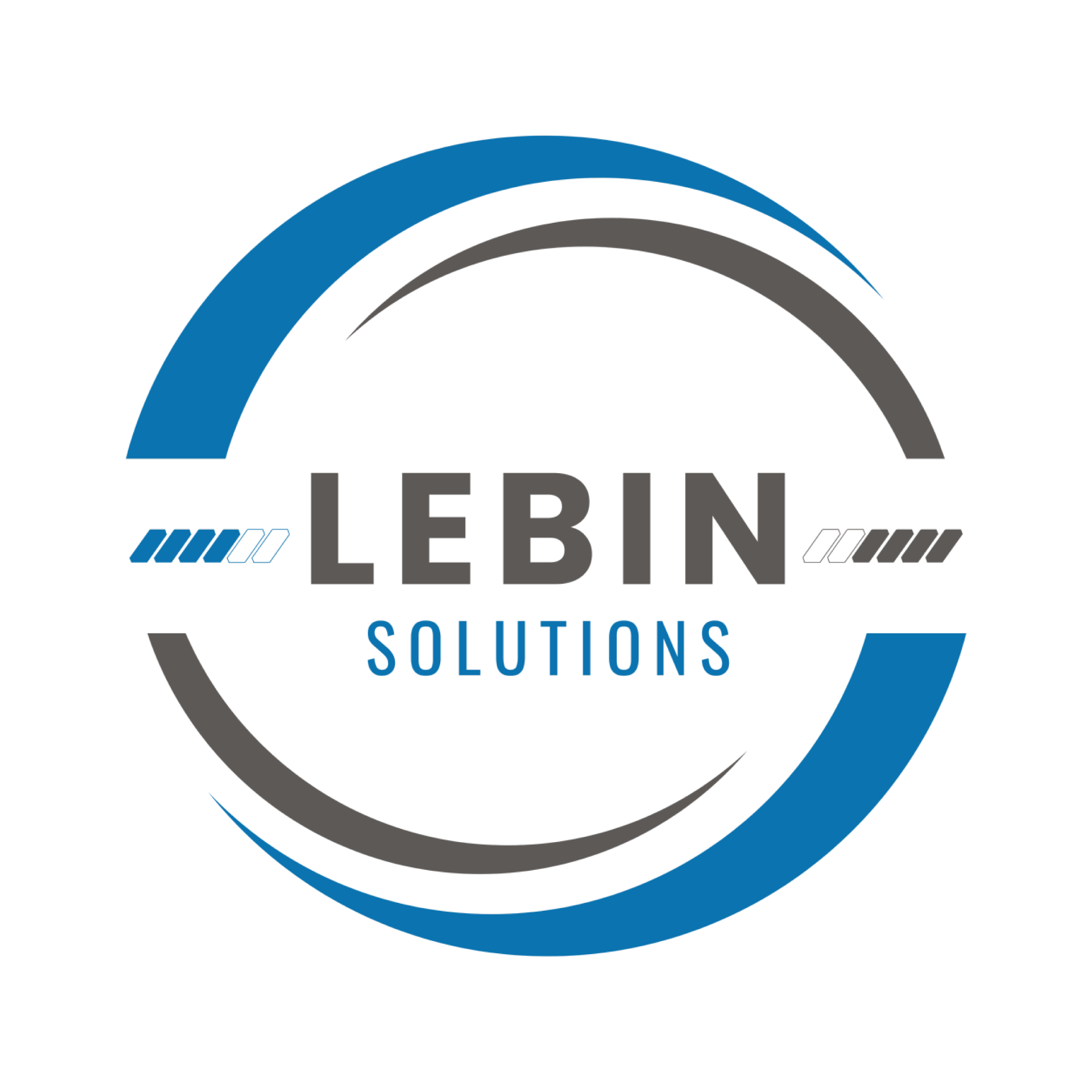 lebin solution