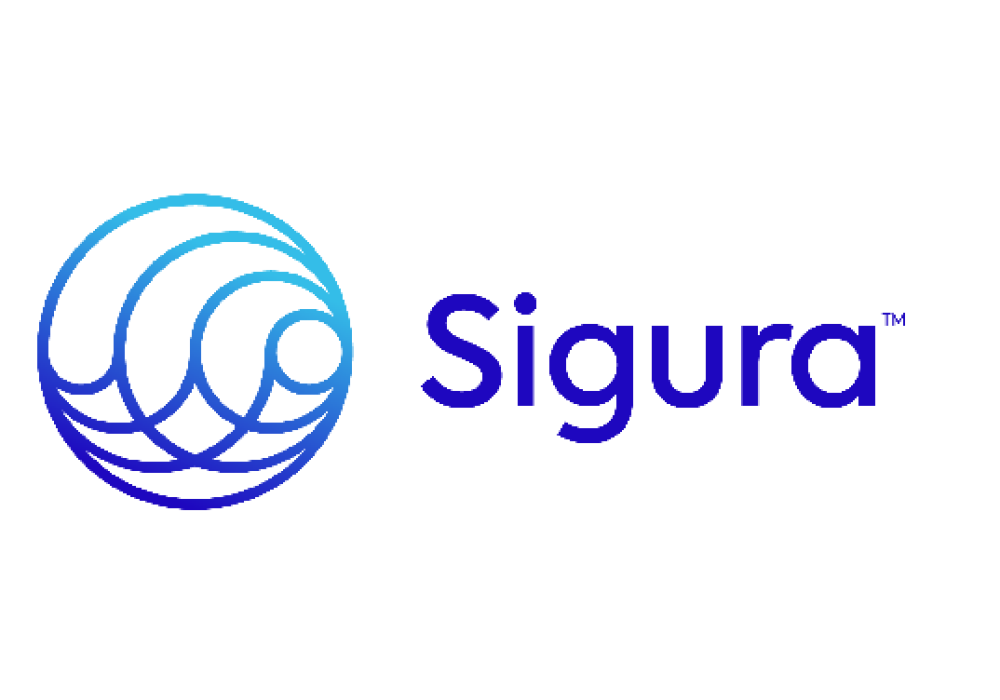 Logo Segura