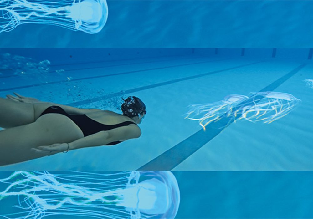 Pool On Méduses 202212