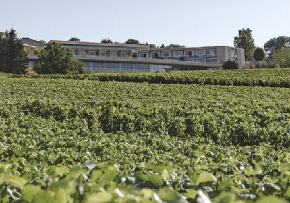 everblue Batisse vue exterieure vigne