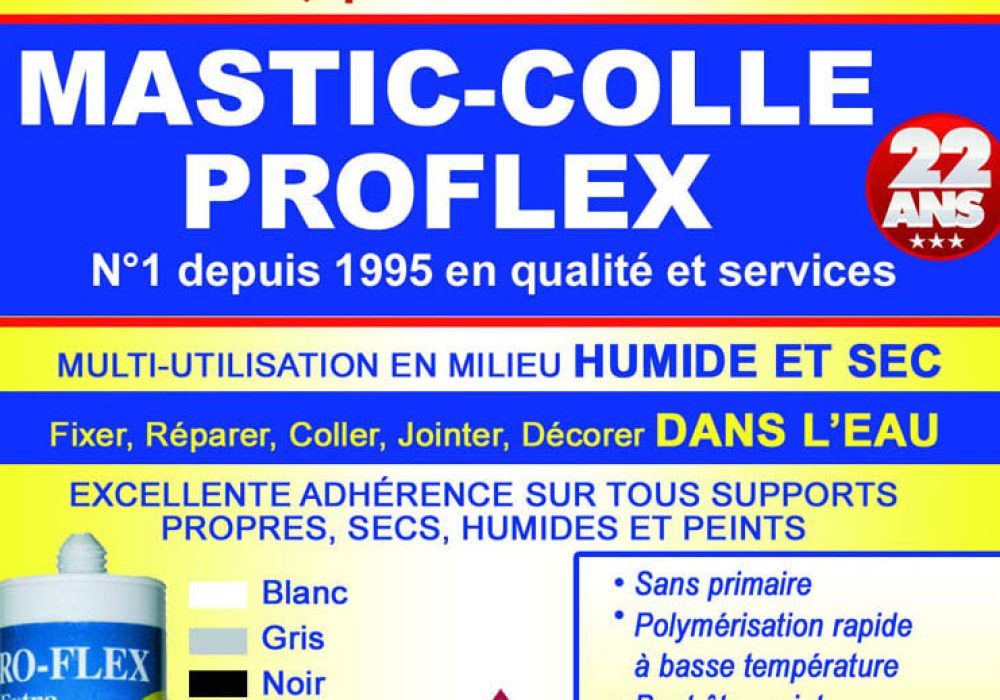 mastic-colle Proflex1