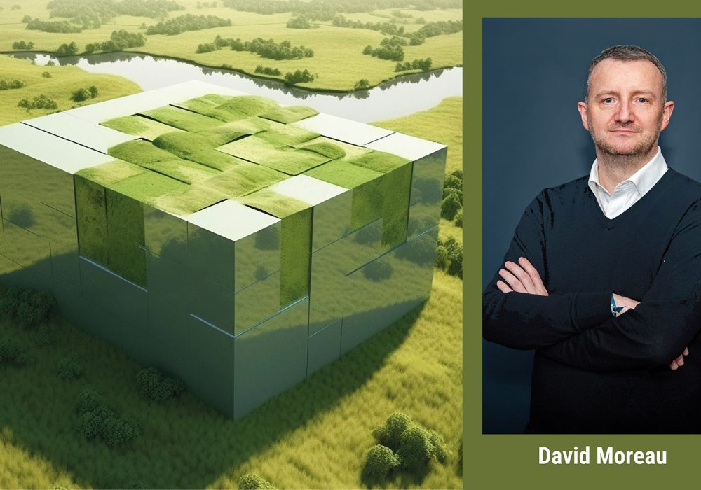 David Bowarek - 3