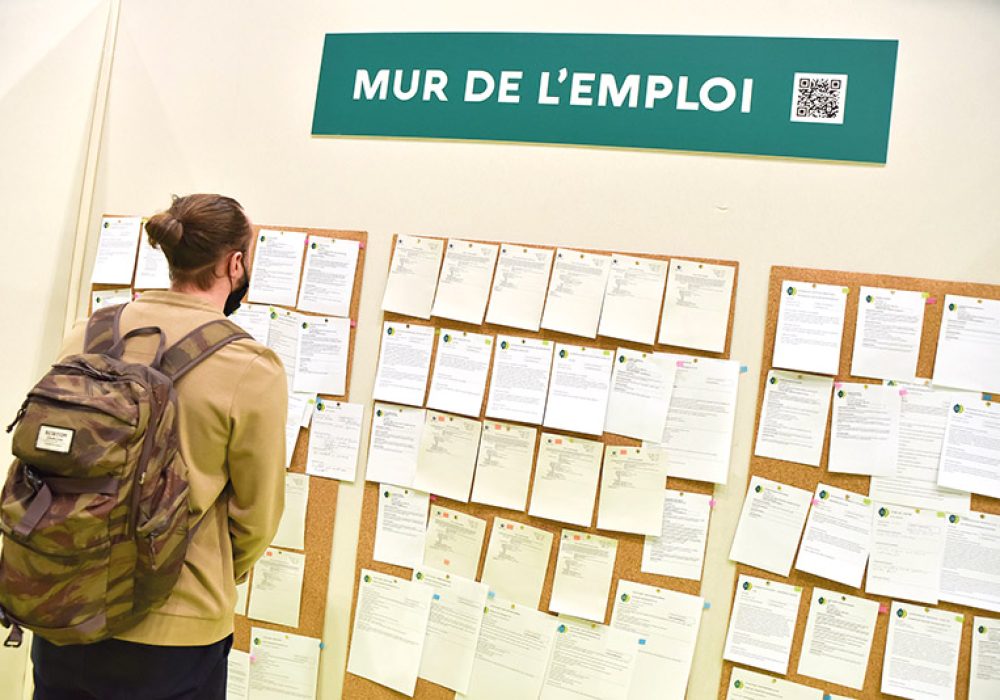 offre emploi 202203
